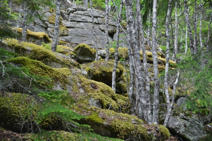 Lower Dewey Lake Trail